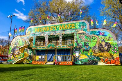 monkey-maze