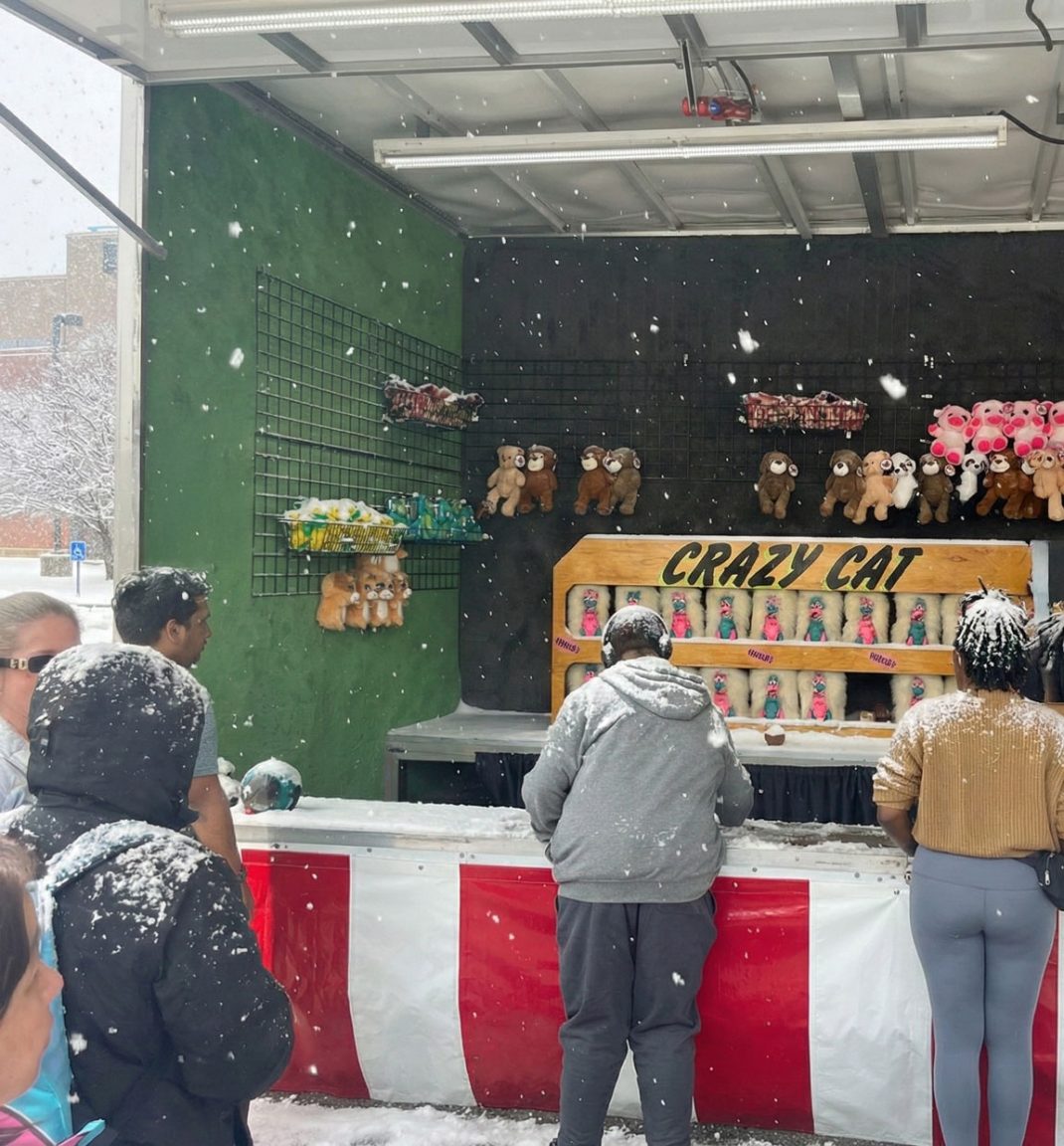 snow-carnival carnival in the snow